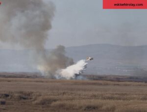 Eber Gölü’ndeki yangın havadan yapılan müdahaleyle söndürüldü