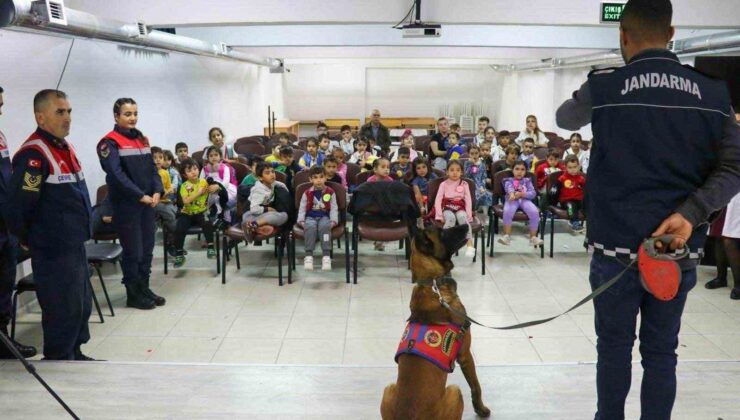 Jandarma grupları hayvanları muhafaza günüyle ilgili aktiflik gerçekleştirdi