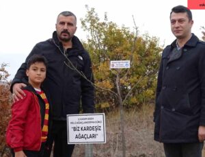 Başbuğ Alparslan Türkeş hatıra ormanına çınar fidanı diktiler