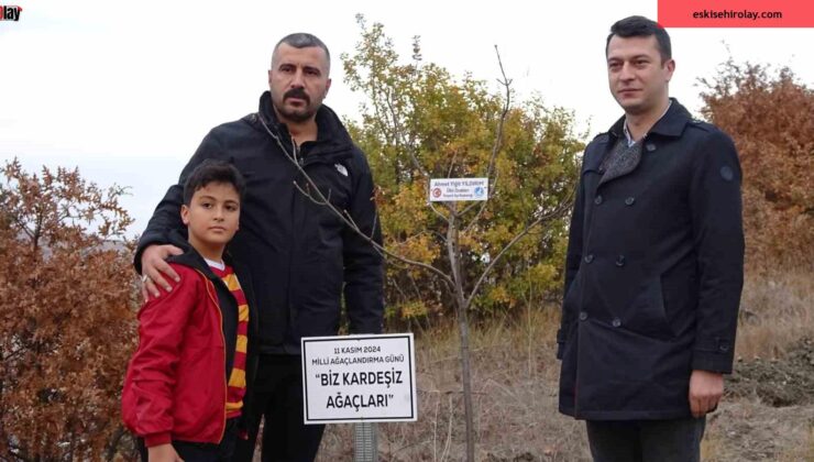 Başbuğ Alparslan Türkeş hatıra ormanına çınar fidanı diktiler