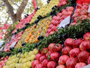 Bilecik nar üretiminde Türkiye’de 16’ncı sırada