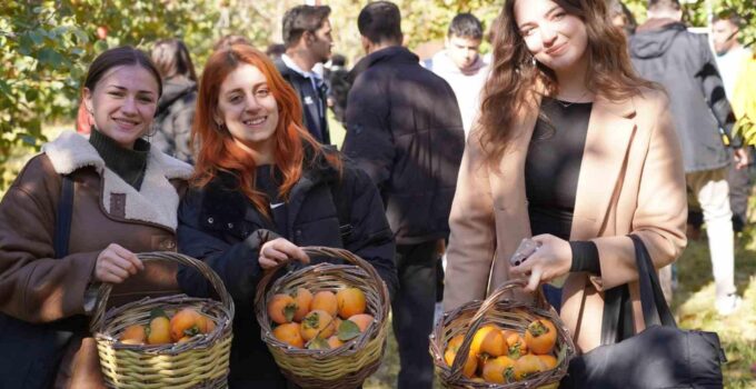 Bilecik’te 6 yıl önce deneme amaçlı dikilen hurma fideleri ilk meyvelerini verdi