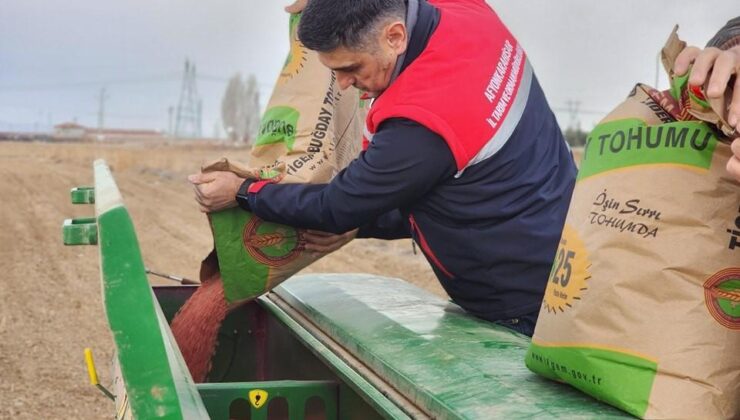 300 ton buğday ekimi gerçekleştirildi