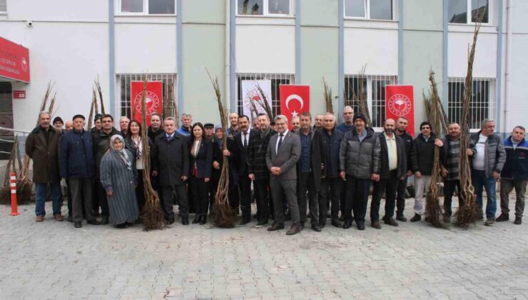 Bozüyük’te çiftçilere meyve fidanı dağıtıldı