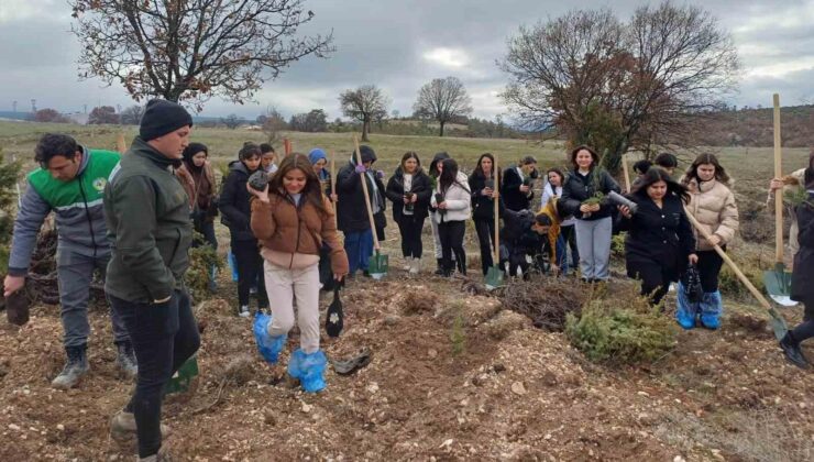 Emet’te fidan dikim etkinliği